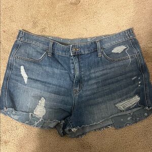 Aerie distressed day dream short size L